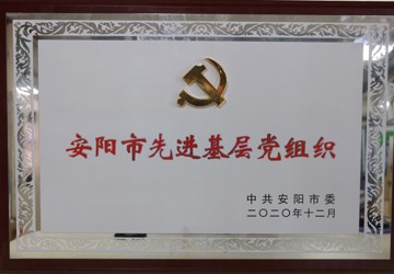 安陽市先進基層黨組織