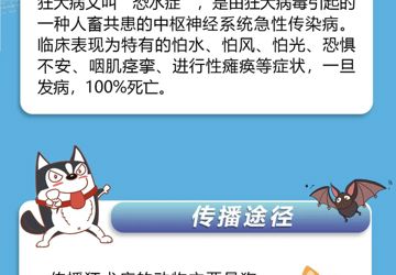 預(yù)防狂犬病做好這三步