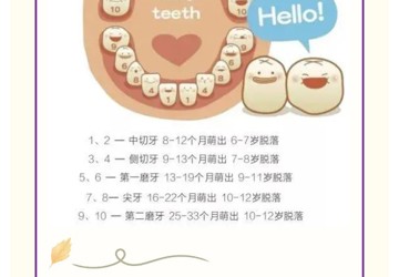 【口腔科普】乳牙不肯退休怎么辦？
