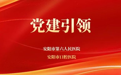 【黨建引領(lǐng)】習(xí)近平：堅(jiān)持和落實(shí)“兩個(gè)毫不動(dòng)搖”