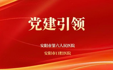 習(xí)近平論堅(jiān)持總體國(guó)家安全觀（2025年）
