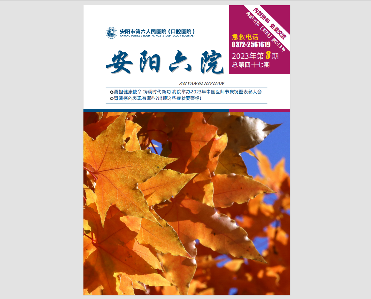 2023年第3期院刊