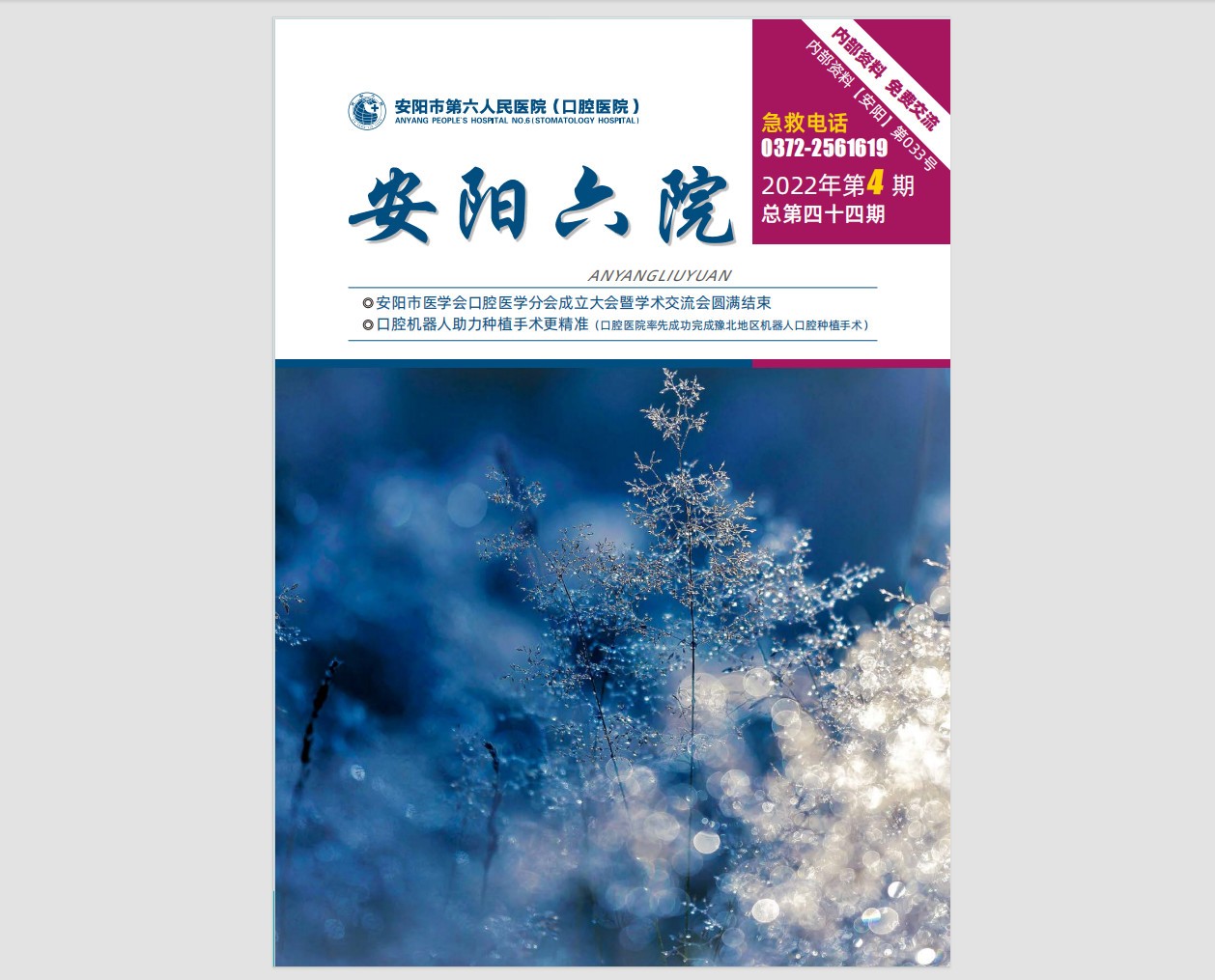 2022年第 4 期院刊